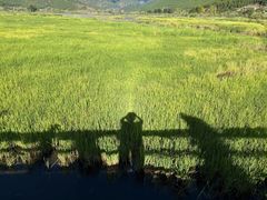 -泸沽湖国家级风景名胜区走婚桥