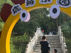 -溱湖国家湿地公园