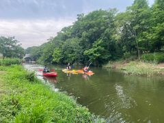 -贡湖湾湿地公园