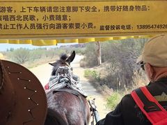 -水洞沟旅游区