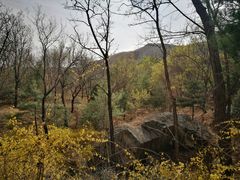-北京鹫峰国家森林公园