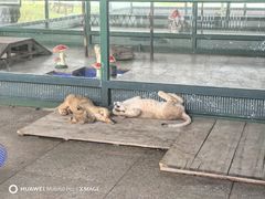 -秦皇岛野生动物园