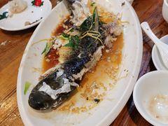 -开心农家菜