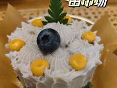 -野草莓自由市场