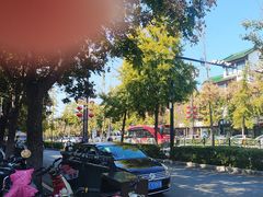 -一记洛阳菜·糖醋小排·水席(十字街店)