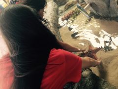 触摸池-河川生态园