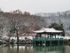 -紫金山山顶公园