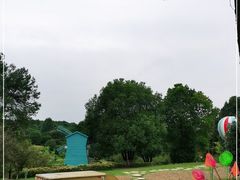 -铁山坪森林公园