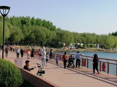 -丁香湖公园