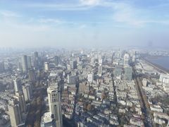 -紫峰大厦