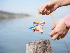 -天津妈祖文化园