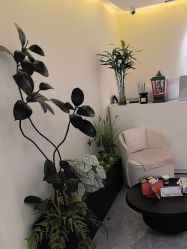 -海涛医疗美容·面部抗衰·注射美鼻