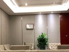 -郑州新郑国际机场T2航站楼-贵宾厅B区