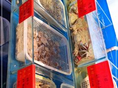 -华盛丰温州大排档(东三环南路店)