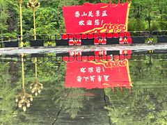 -娄山关景区