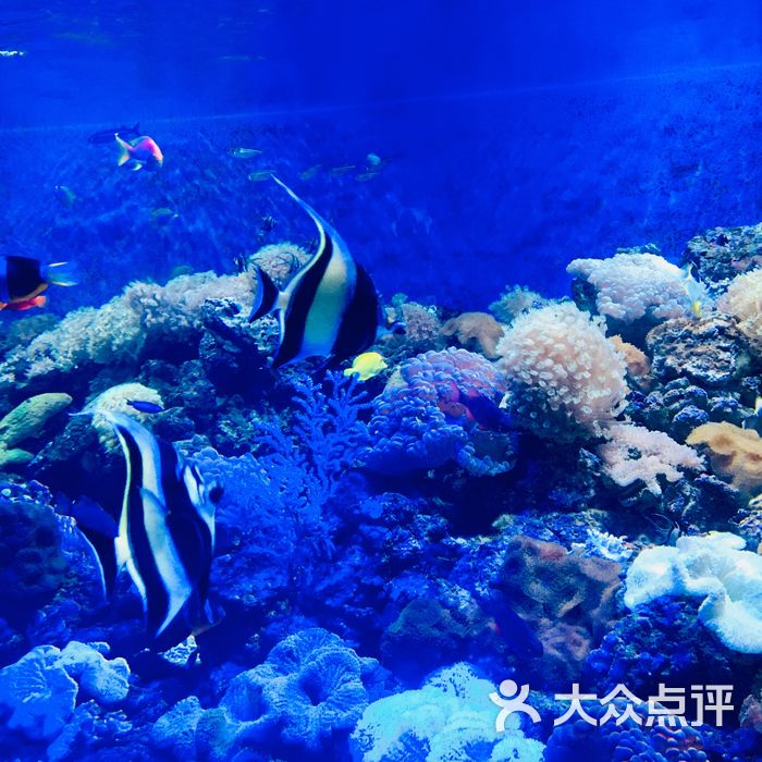 海濱城浩海立方海洋館