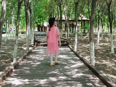 -西青郊野公园