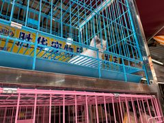 -清平路水族市场