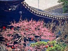 -胡雪岩故居