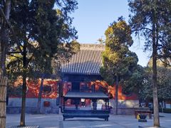 -洛阳白马寺