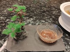 -无锡新湖铂尔曼大酒店