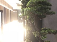 -璞·澐间影院式足道SPA(尚悦湾店)