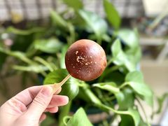 潮汕牛肉丸碱水面包-WHEN PIGS FLY当猪飞