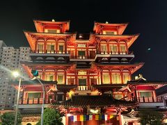 -新加坡佛牙寺龙华院