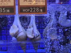 -協成海鮮火鍋(老店)
