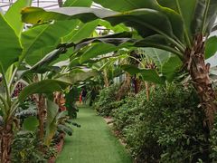 -呀路古热带植物园