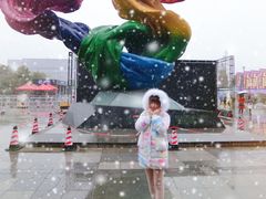 -东浩兰生上海世博展览馆