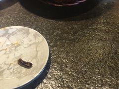 -靠山屯东北农家菜(八龙桥雅苑店)