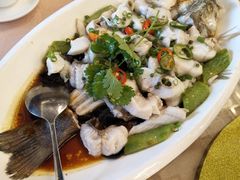 花椒蒸海鲈鱼-祥祺酒店·豪宴酒楼
