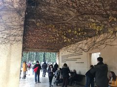 -阿尔罕布拉宫