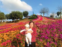 -东莞植物园