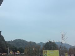 -千年银杏谷文化旅游区