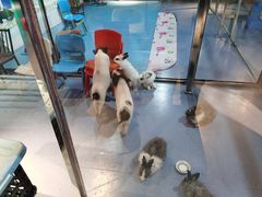 -秦皇岛新澳海底世界