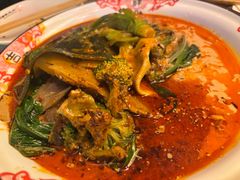 -福苗小骆驼烧烤(莲湖路店)
