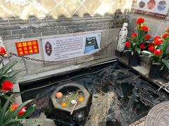 -燕喜堂·中华老字号(大明湖店)
