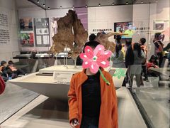 -北京周口店北京人遗址博物馆