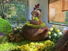 -杭州植物园