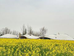 -中国天府农业博览园