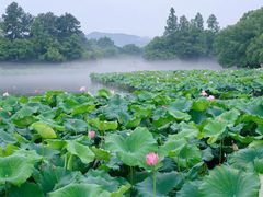 -西湖游船