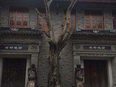 -龙潭水乡