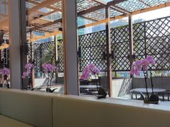 -洋洋中餐馆·SINCE 1997(信投店)