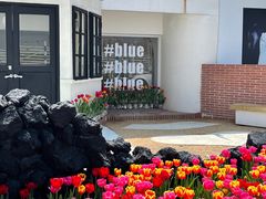 -Blue Concept Cafe&Farm·關於藍