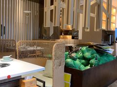 大堂-东椰·海南椰子鸡火锅(朝阳门店)