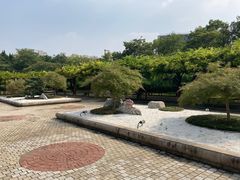 -嘉定紫藤园