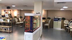 -芳妮豆丁家庭影像馆(宝安店)