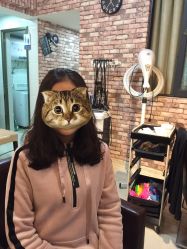 -木易造型工作室